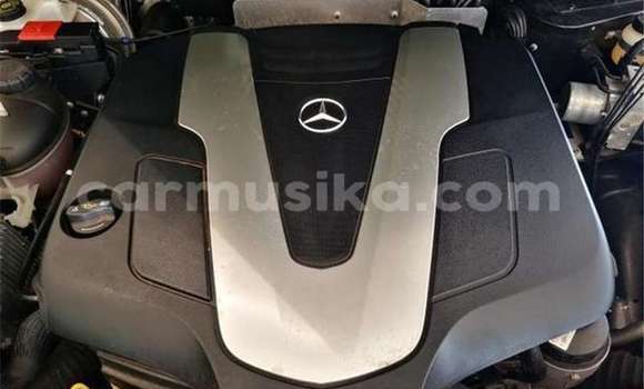 Tenga Tsaru Mercedes‒Benz G-klasse AMG Nhema Mota in Beitbridge in Matabeleland South Tenga Tsaru Mercedes‒Benz G-klasse AMG Nhema Mota in Beitbridge in Matabeleland South