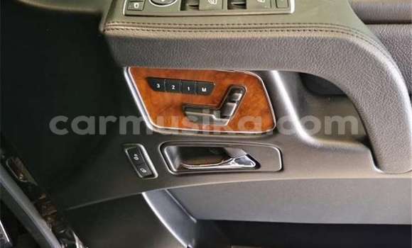 Tenga Tsaru Mercedes‒Benz G-klasse AMG Nhema Mota in Beitbridge in Matabeleland South Tenga Tsaru Mercedes‒Benz G-klasse AMG Nhema Mota in Beitbridge in Matabeleland South