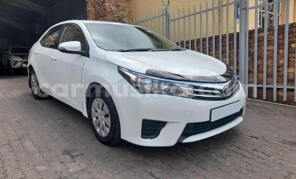 Acheter Occasion Voiture Toyota Corolla Blanc à Harare, Harare