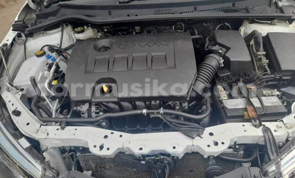 Buy Used Toyota Corolla White Car in Harare in Harare Buy Used Toyota Corolla White Car in Harare in Harare