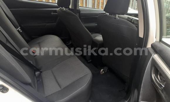 Buy Used Toyota Corolla White Car in Harare in Harare Buy Used Toyota Corolla White Car in Harare in Harare