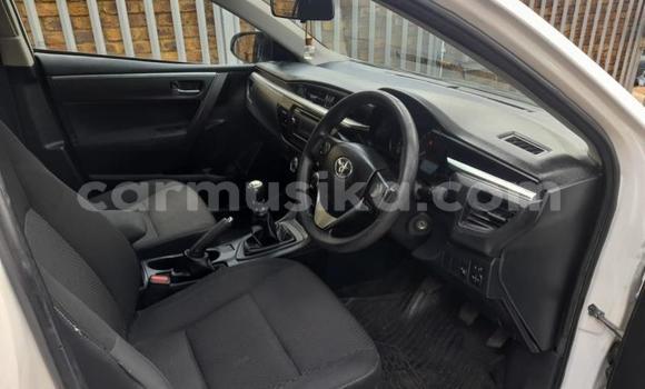 Buy Used Toyota Corolla White Car in Harare in Harare Buy Used Toyota Corolla White Car in Harare in Harare