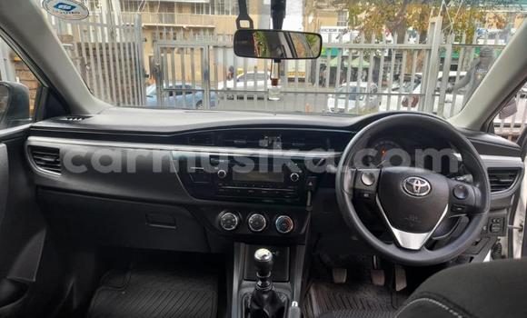 Buy Used Toyota Corolla White Car in Harare in Harare Buy Used Toyota Corolla White Car in Harare in Harare