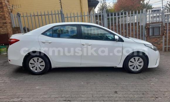 Buy Used Toyota Corolla White Car in Harare in Harare Buy Used Toyota Corolla White Car in Harare in Harare