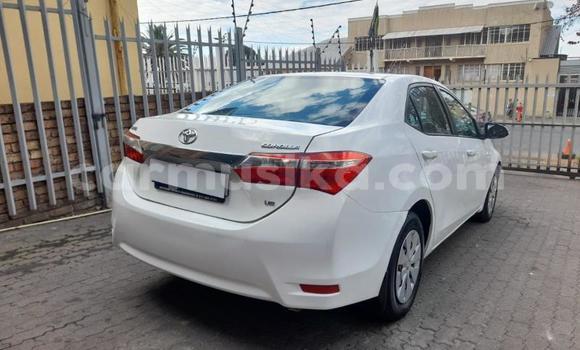 Buy Used Toyota Corolla White Car in Harare in Harare Buy Used Toyota Corolla White Car in Harare in Harare