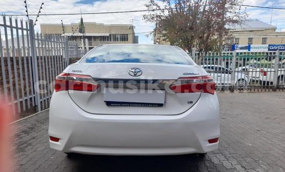 Buy Used Toyota Corolla White Car in Harare in Harare Buy Used Toyota Corolla White Car in Harare in Harare