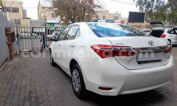 Buy Used Toyota Corolla White Car in Harare in Harare Buy Used Toyota Corolla White Car in Harare in Harare