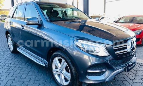 Tenga Tsaru Mercedes‒Benz G-klasse Sirivha Mota in Beitbridge in Matabeleland South Tenga Tsaru Mercedes‒Benz G-klasse Sirivha Mota in Beitbridge in Matabeleland South