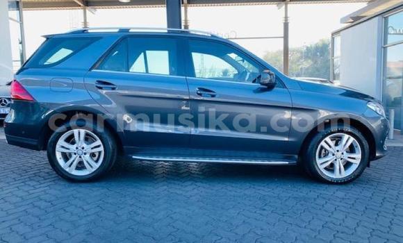 Buy Used Mercedes‒Benz G-klasse Silver Car in Beitbridge in Matabeleland South Buy Used Mercedes‒Benz G-klasse Silver Car in Beitbridge in Matabeleland South