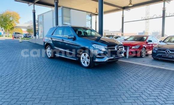 Buy Used Mercedes‒Benz G-klasse Silver Car in Beitbridge in Matabeleland South Buy Used Mercedes‒Benz G-klasse Silver Car in Beitbridge in Matabeleland South