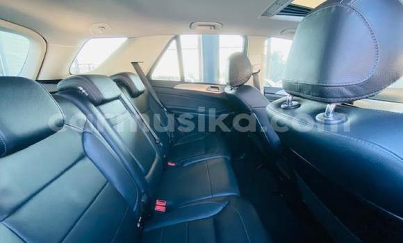 Buy Used Mercedes‒Benz G-klasse Silver Car in Beitbridge in Matabeleland South Buy Used Mercedes‒Benz G-klasse Silver Car in Beitbridge in Matabeleland South