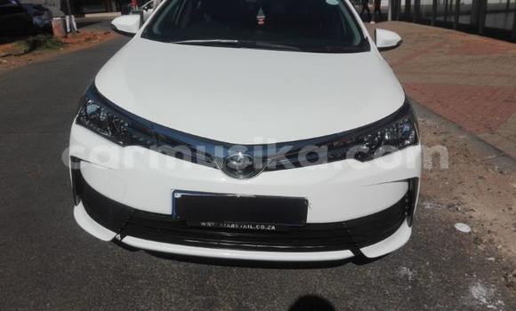 Nunua Ilio tumika Toyota Corolla Nyeupe Gari ndani ya Harare nchini Harare