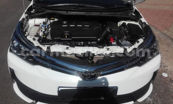 Buy Used Toyota Corolla White Car in Harare in Harare Buy Used Toyota Corolla White Car in Harare in Harare