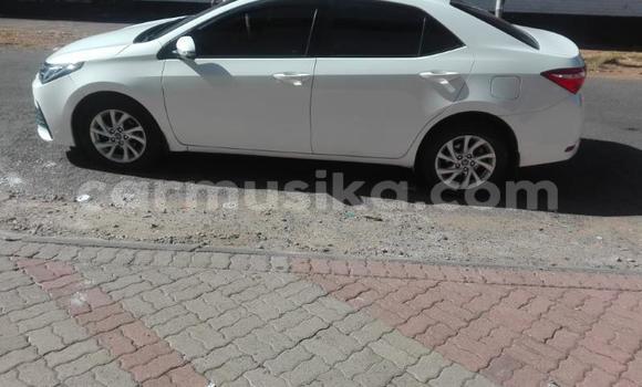 Buy Used Toyota Corolla White Car in Harare in Harare Buy Used Toyota Corolla White Car in Harare in Harare