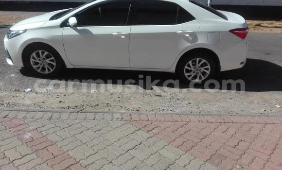 Buy Used Toyota Corolla White Car in Harare in Harare Buy Used Toyota Corolla White Car in Harare in Harare