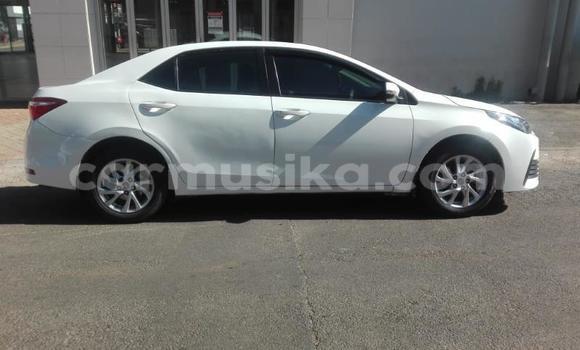 Buy Used Toyota Corolla White Car in Harare in Harare Buy Used Toyota Corolla White Car in Harare in Harare