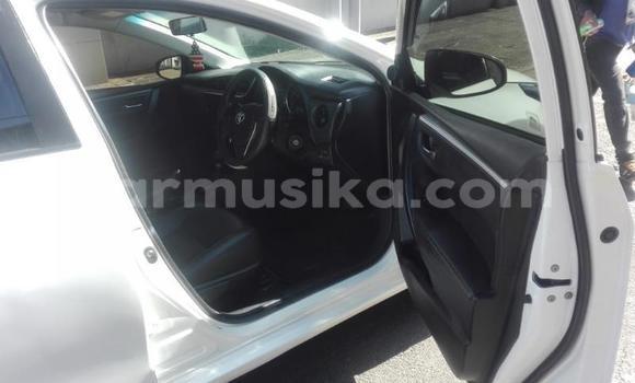 Buy Used Toyota Corolla White Car in Harare in Harare Buy Used Toyota Corolla White Car in Harare in Harare