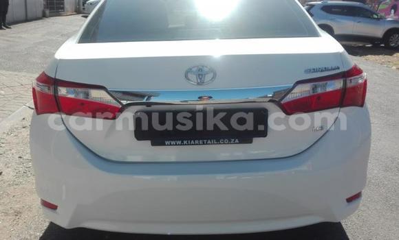 Buy Used Toyota Corolla White Car in Harare in Harare Buy Used Toyota Corolla White Car in Harare in Harare