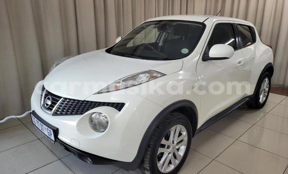 Tenga Tsaru Nissan Juke Chena Mota in Beitbridge in Matabeleland South