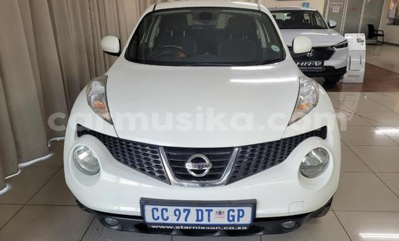 Buy Used Nissan Juke White Car in Beitbridge in Matabeleland South Buy Used Nissan Juke White Car in Beitbridge in Matabeleland South