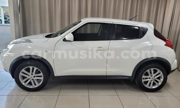Buy Used Nissan Juke White Car in Beitbridge in Matabeleland South Buy Used Nissan Juke White Car in Beitbridge in Matabeleland South
