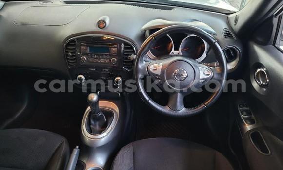 Buy Used Nissan Juke White Car in Beitbridge in Matabeleland South Buy Used Nissan Juke White Car in Beitbridge in Matabeleland South