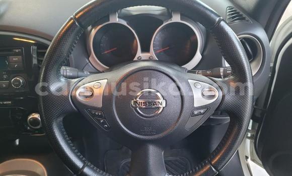 Buy Used Nissan Juke White Car in Beitbridge in Matabeleland South Buy Used Nissan Juke White Car in Beitbridge in Matabeleland South
