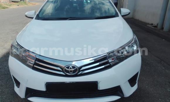 Tenga Tsaru Toyota Corolla Chena Mota in Borrowdale in Harare