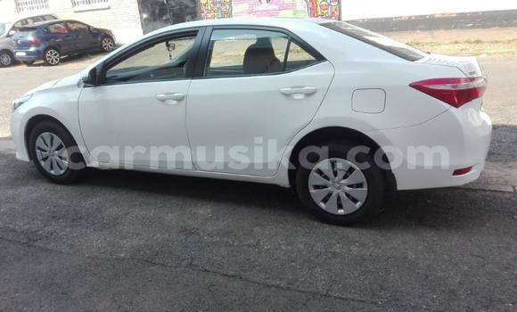 Tenga Tsaru Toyota Corolla Chena Mota in Borrowdale in Harare Tenga Tsaru Toyota Corolla Chena Mota in Borrowdale in Harare