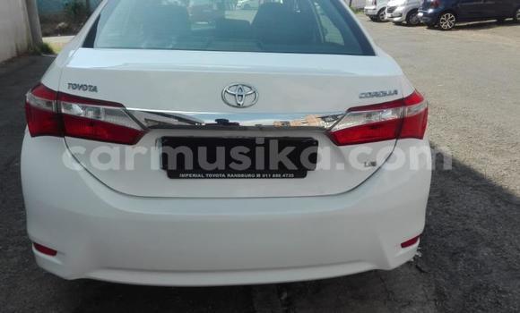 Tenga Tsaru Toyota Corolla Chena Mota in Borrowdale in Harare Tenga Tsaru Toyota Corolla Chena Mota in Borrowdale in Harare