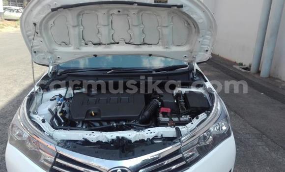 Tenga Tsaru Toyota Corolla Chena Mota in Borrowdale in Harare Tenga Tsaru Toyota Corolla Chena Mota in Borrowdale in Harare