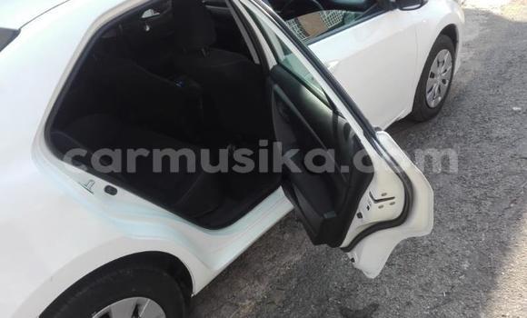 Tenga Tsaru Toyota Corolla Chena Mota in Borrowdale in Harare Tenga Tsaru Toyota Corolla Chena Mota in Borrowdale in Harare