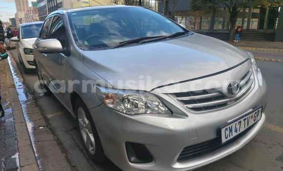 Buy Used Toyota Corolla Other Car in Bulawayo in Bulawayo