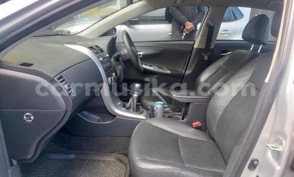 Buy Used Toyota Corolla Other Car in Bulawayo in Bulawayo Buy Used Toyota Corolla Other Car in Bulawayo in Bulawayo