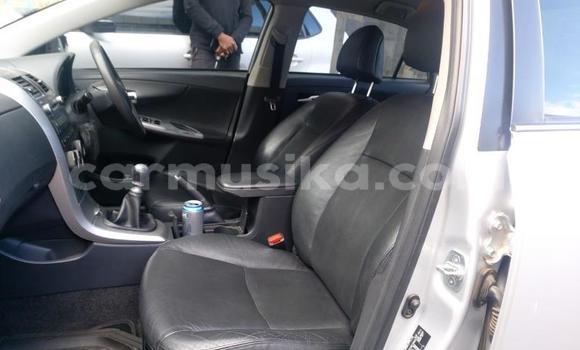 Buy Used Toyota Corolla Other Car in Bulawayo in Bulawayo Buy Used Toyota Corolla Other Car in Bulawayo in Bulawayo