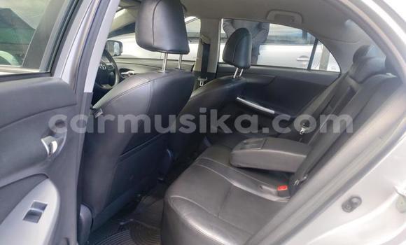 Buy Used Toyota Corolla Other Car in Bulawayo in Bulawayo Buy Used Toyota Corolla Other Car in Bulawayo in Bulawayo