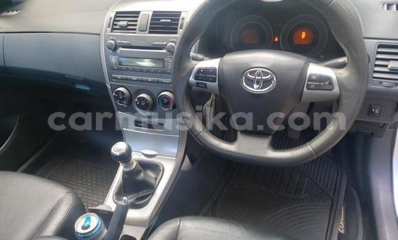 Buy Used Toyota Corolla Other Car in Bulawayo in Bulawayo Buy Used Toyota Corolla Other Car in Bulawayo in Bulawayo