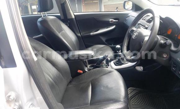 Buy Used Toyota Corolla Other Car in Bulawayo in Bulawayo Buy Used Toyota Corolla Other Car in Bulawayo in Bulawayo