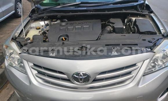 Buy Used Toyota Corolla Other Car in Bulawayo in Bulawayo Buy Used Toyota Corolla Other Car in Bulawayo in Bulawayo