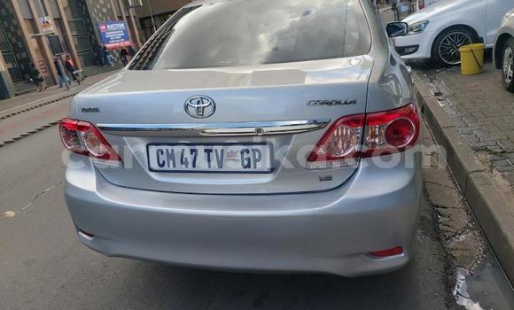Buy Used Toyota Corolla Other Car in Bulawayo in Bulawayo Buy Used Toyota Corolla Other Car in Bulawayo in Bulawayo