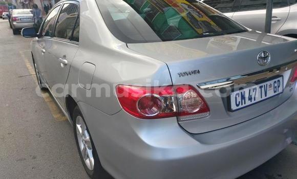 Buy Used Toyota Corolla Other Car in Bulawayo in Bulawayo Buy Used Toyota Corolla Other Car in Bulawayo in Bulawayo