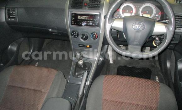 Buy Used Toyota Corolla Other Car in Chegutu in Mashonaland West Buy Used Toyota Corolla Other Car in Chegutu in Mashonaland West