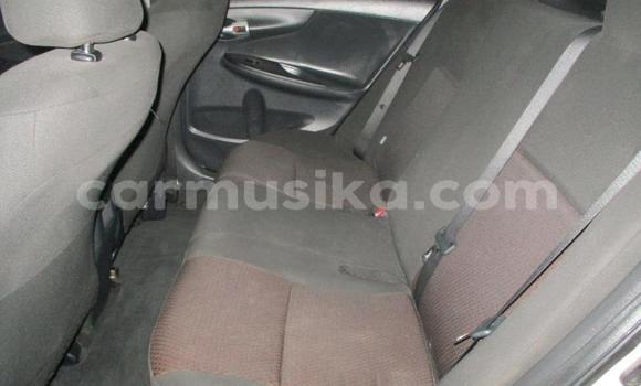 Buy Used Toyota Corolla Other Car in Chegutu in Mashonaland West Buy Used Toyota Corolla Other Car in Chegutu in Mashonaland West