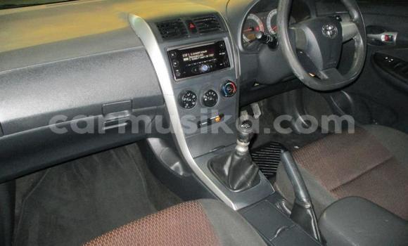 Buy Used Toyota Corolla Other Car in Chegutu in Mashonaland West Buy Used Toyota Corolla Other Car in Chegutu in Mashonaland West