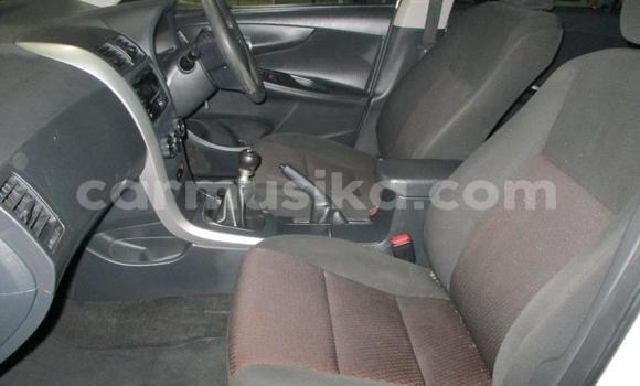 Buy Used Toyota Corolla Other Car in Chegutu in Mashonaland West Buy Used Toyota Corolla Other Car in Chegutu in Mashonaland West