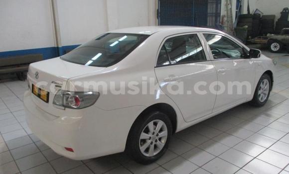 Buy Used Toyota Corolla Other Car in Chegutu in Mashonaland West Buy Used Toyota Corolla Other Car in Chegutu in Mashonaland West