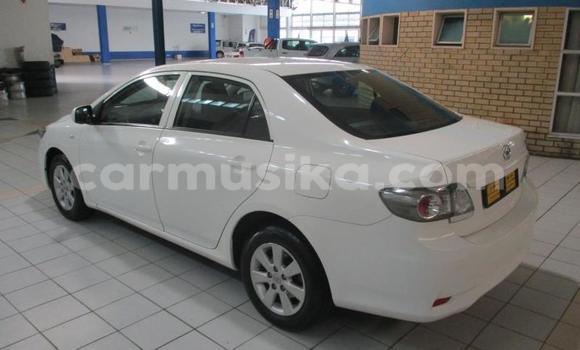 Buy Used Toyota Corolla Other Car in Chegutu in Mashonaland West Buy Used Toyota Corolla Other Car in Chegutu in Mashonaland West