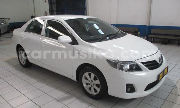 Buy Used Toyota Corolla Other Car in Chegutu in Mashonaland West Buy Used Toyota Corolla Other Car in Chegutu in Mashonaland West