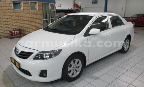 Buy Used Toyota Corolla Other Car in Chegutu in Mashonaland West Buy Used Toyota Corolla Other Car in Chegutu in Mashonaland West