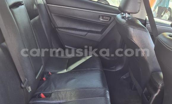 Buy Used Toyota Corolla Other Car in Chegutu in Mashonaland West Buy Used Toyota Corolla Other Car in Chegutu in Mashonaland West